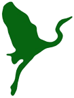 Logo FENIXFALT phenix vert